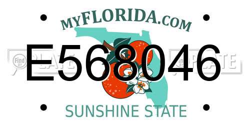 E568046 Florida License Plate