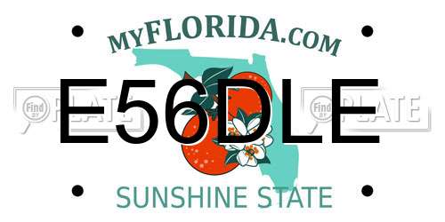 E56DLE Florida License Plate