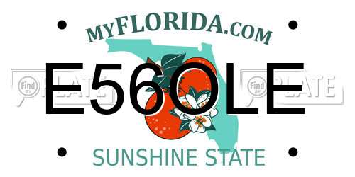 E56OLE Florida License Plate