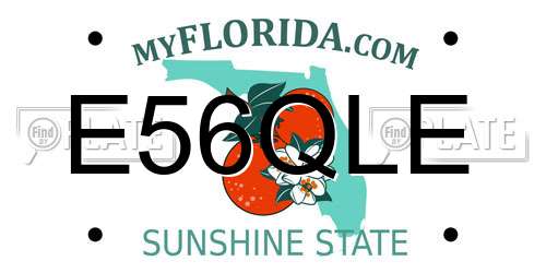 E56QLE Florida License Plate
