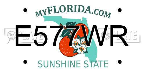 E577WR Florida License Plate