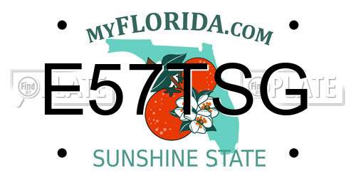 E57TSG Florida License Plate