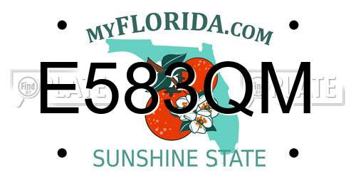E583QM Florida License Plate