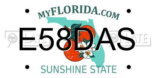 E58DAS Florida License Plate