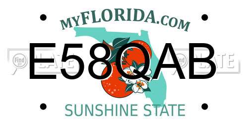 E58QAB Florida License Plate