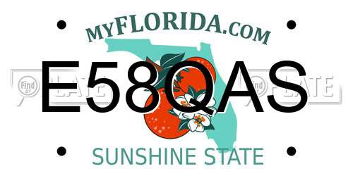 E58QAS Florida License Plate