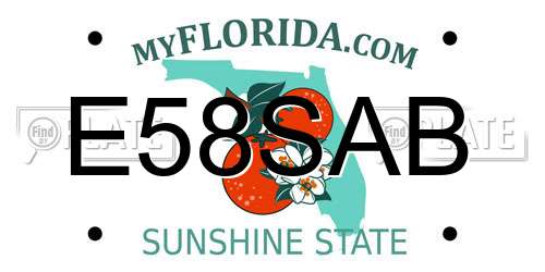 E58SAB Florida License Plate