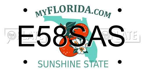 E58SAS Florida License Plate