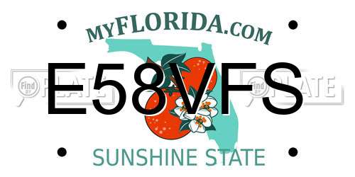 E58VFS Florida License Plate