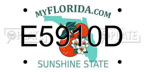 E5910D Florida License Plate