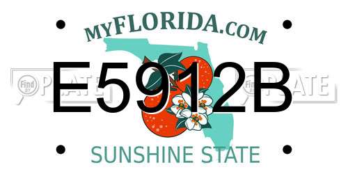 E5912B Florida License Plate