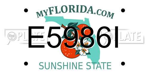 E5986I Florida License Plate