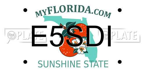 E5SDI Florida License Plate