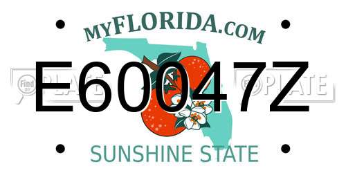 E60047Z Florida License Plate
