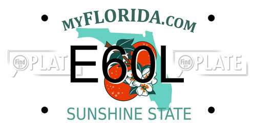 E60L Florida License Plate