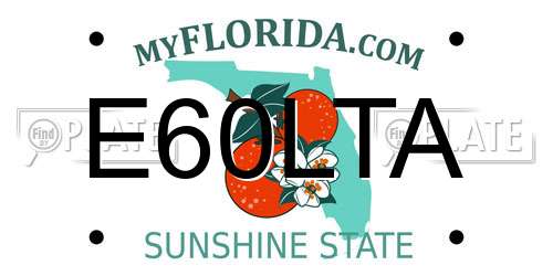 E60LTA Florida License Plate