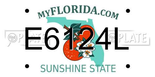 E6124L Florida License Plate
