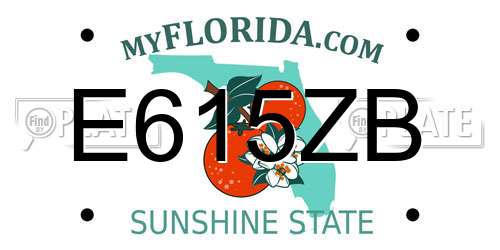 E615ZB Florida License Plate