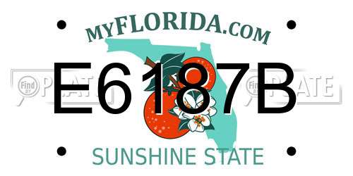 E6187B Florida License Plate
