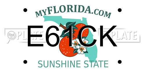 E61CK Florida License Plate
