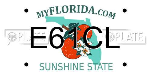E61CL Florida License Plate
