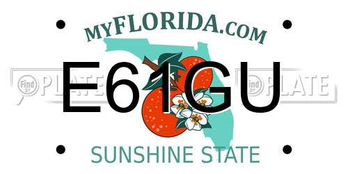 E61GU Florida License Plate