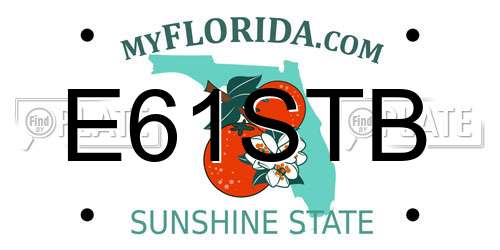 E61STB Florida License Plate