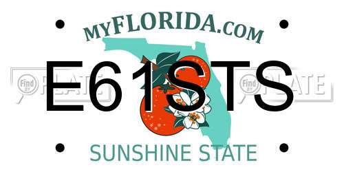 E61STS Florida License Plate