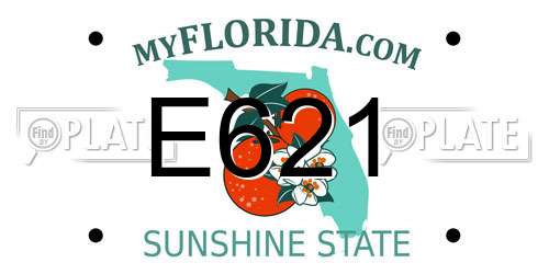 E621 Florida License Plate
