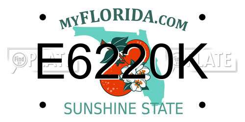 E6220K Florida License Plate