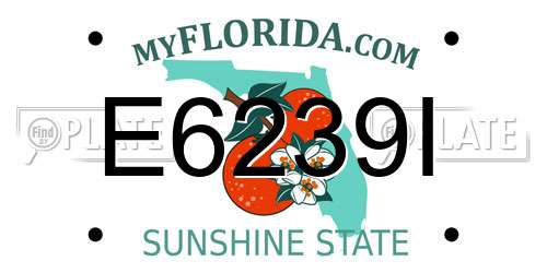 E6239I Florida License Plate