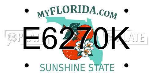 E6270K Florida License Plate
