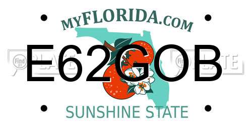 E62GOB Florida License Plate