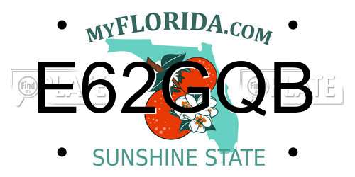 E62GQB Florida License Plate