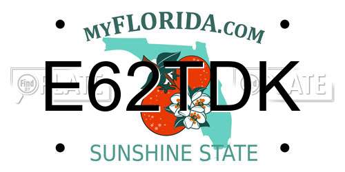 E62TDK Florida License Plate