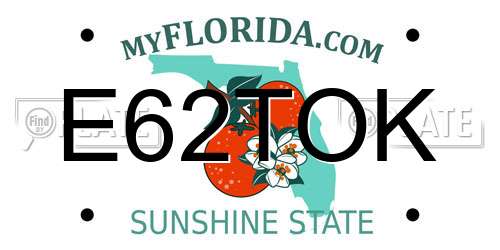 E62TOK Florida License Plate
