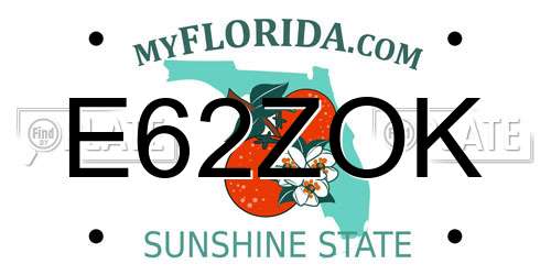 E62ZOK Florida License Plate