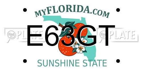 E63GT Florida License Plate