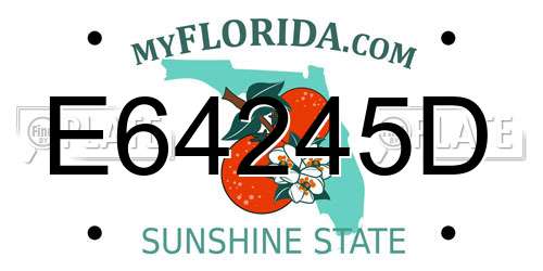 E64245D Florida License Plate