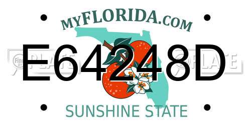 E64248D Florida License Plate