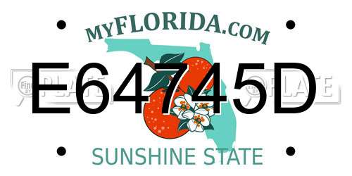 E64745D Florida License Plate