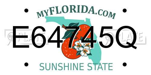 E64745Q Florida License Plate