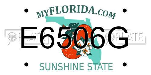 E6506G Florida License Plate