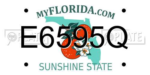 E6595Q Florida License Plate