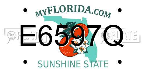 E6597Q Florida License Plate