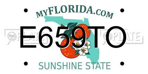 E659TO Florida License Plate