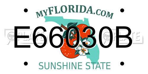 E66030B Florida License Plate