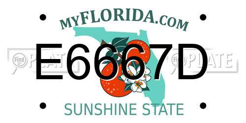 E6667D Florida License Plate