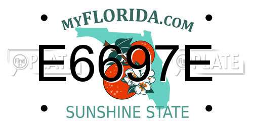 E6697E Florida License Plate