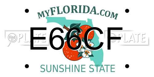 E66CF Florida License Plate